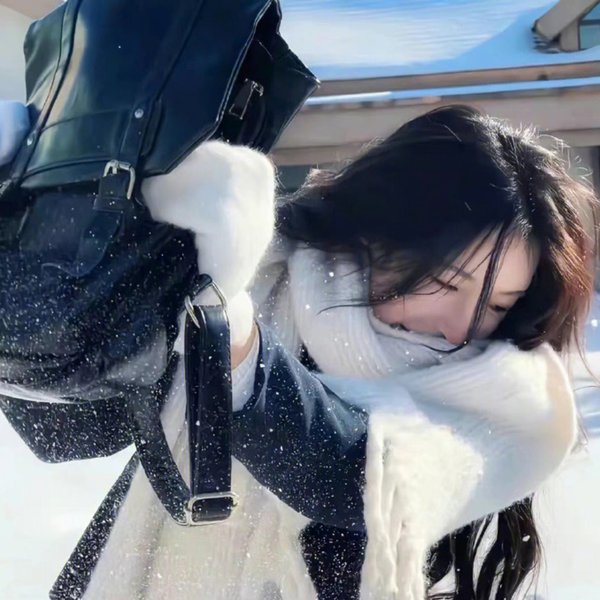 恋上女镖师